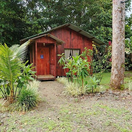 Citronela Lodge Corcovado Drake Bay Exterior photo
