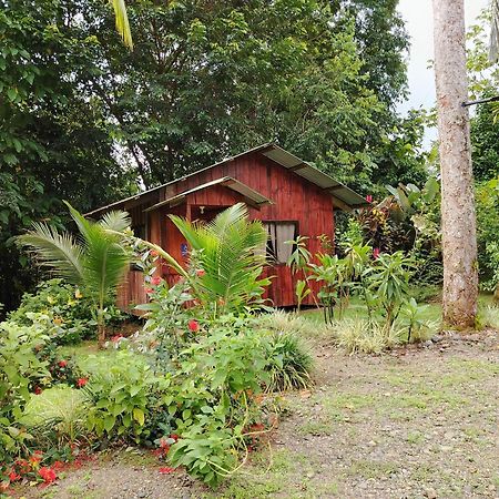 Citronela Lodge Corcovado Drake Bay Exterior photo