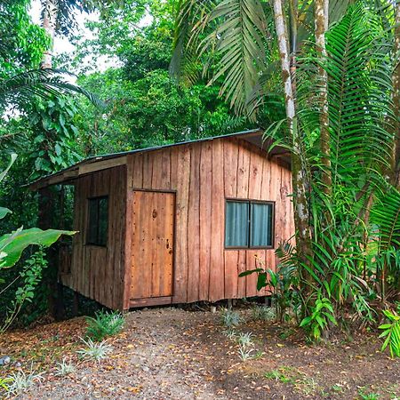 Citronela Lodge Corcovado Drake Bay Exterior photo