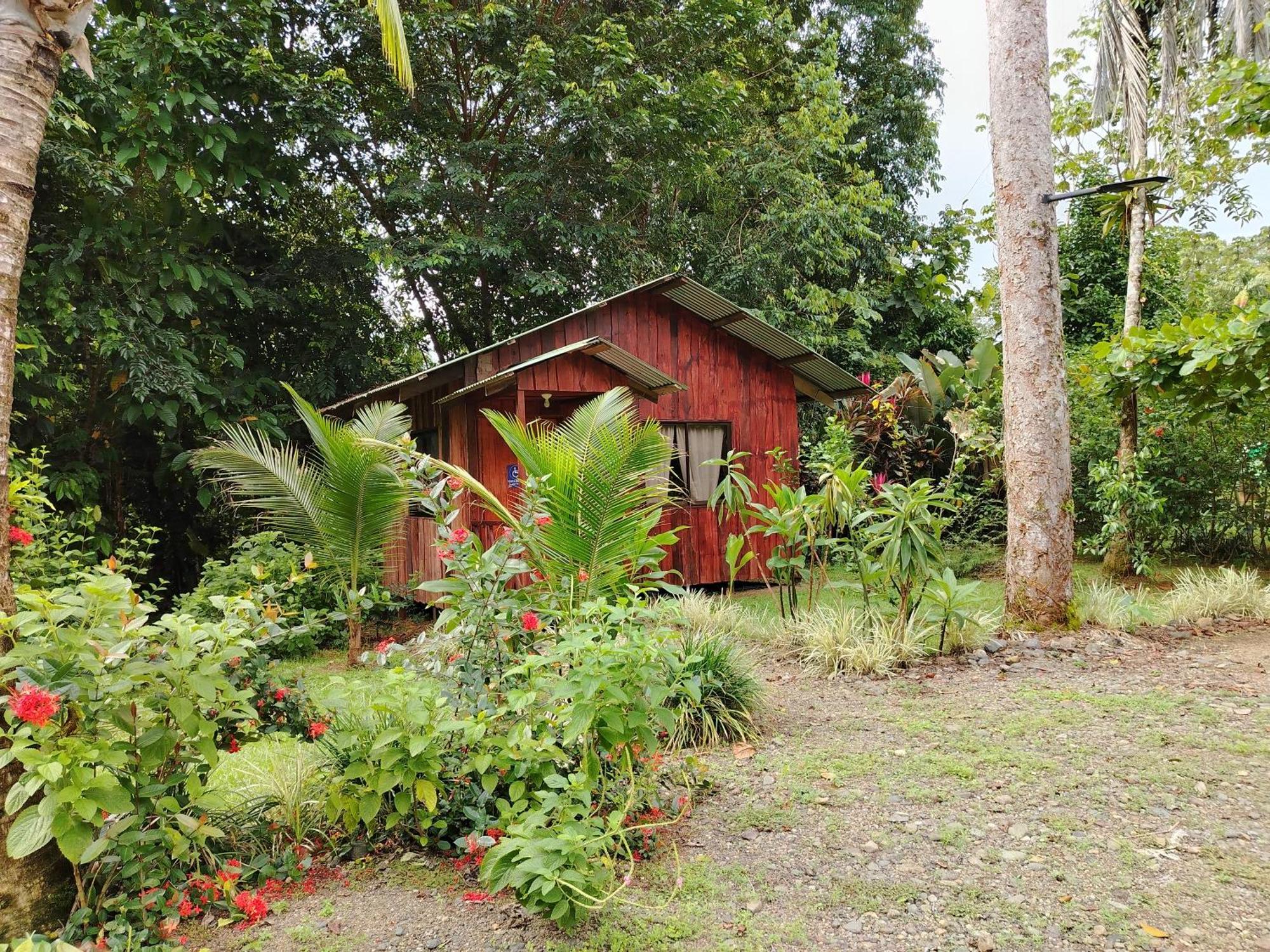 Citronela Lodge Corcovado Drake Bay Exterior photo
