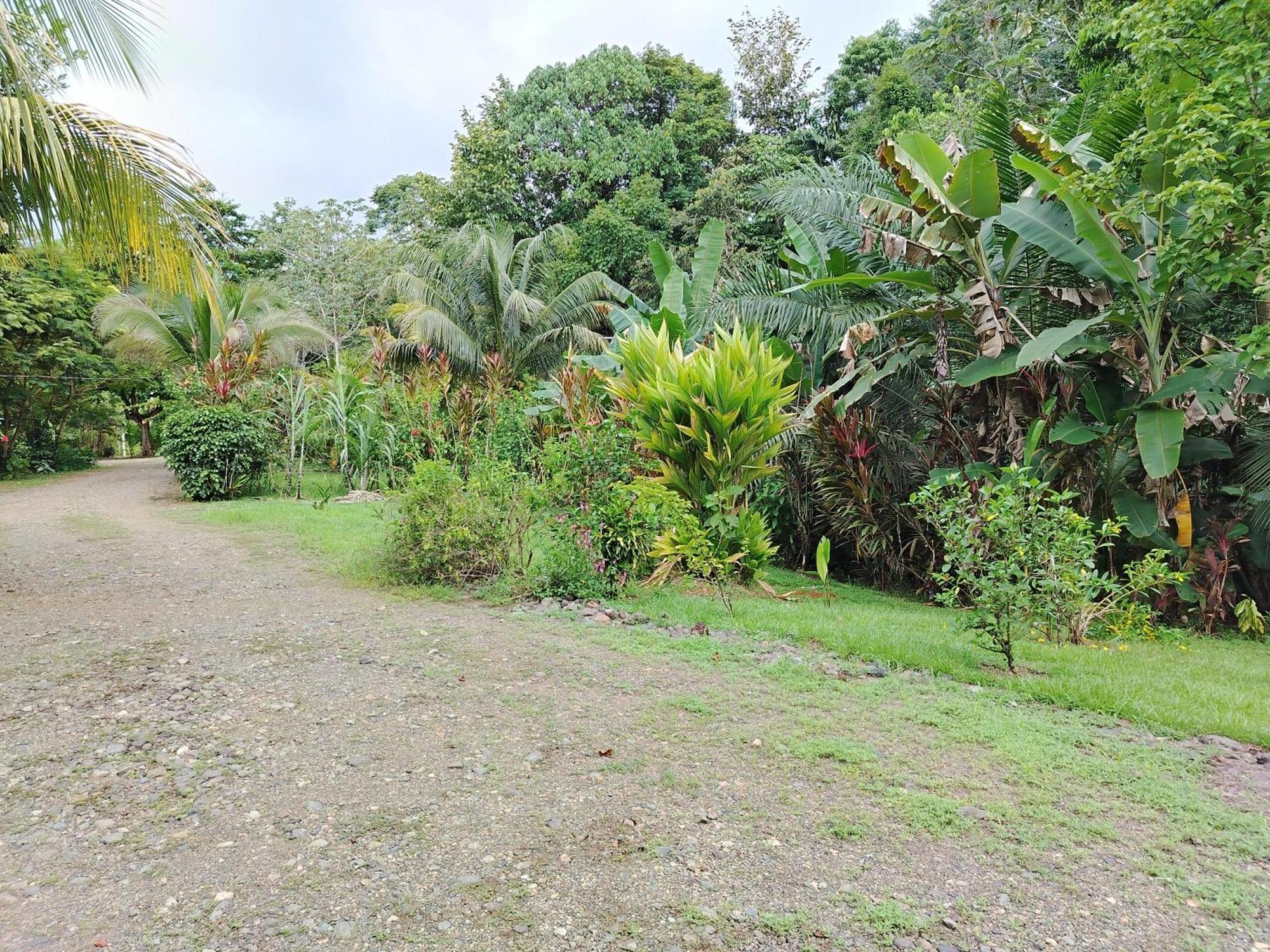 Citronela Lodge Corcovado Drake Bay Exterior photo