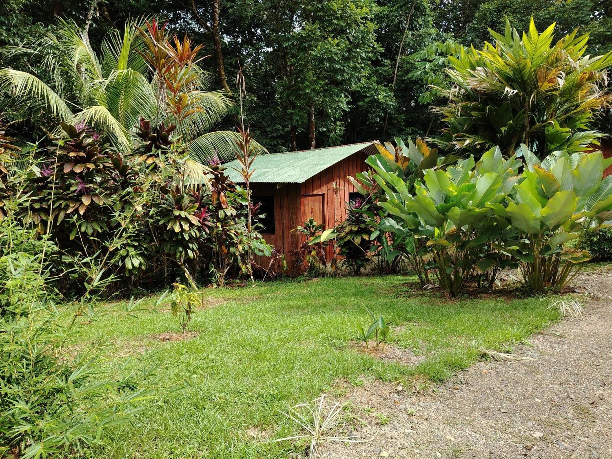 Citronela Lodge Corcovado Drake Bay Exterior photo
