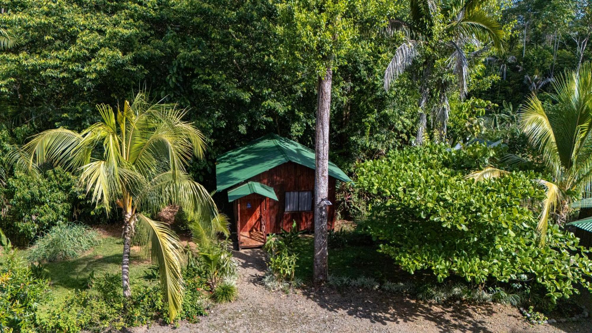 Citronela Lodge Corcovado Drake Bay Exterior photo