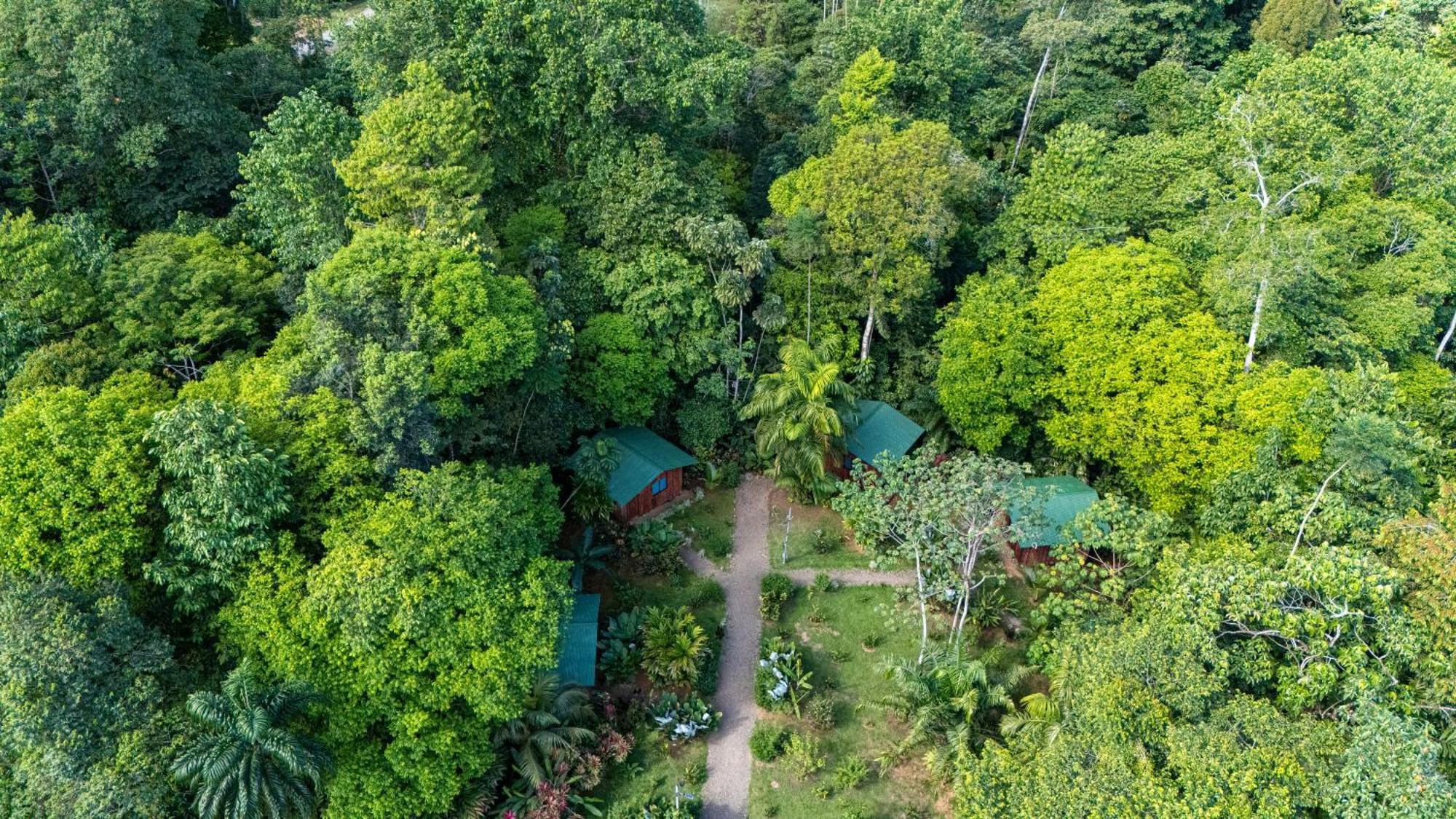 Citronela Lodge Corcovado Drake Bay Exterior photo