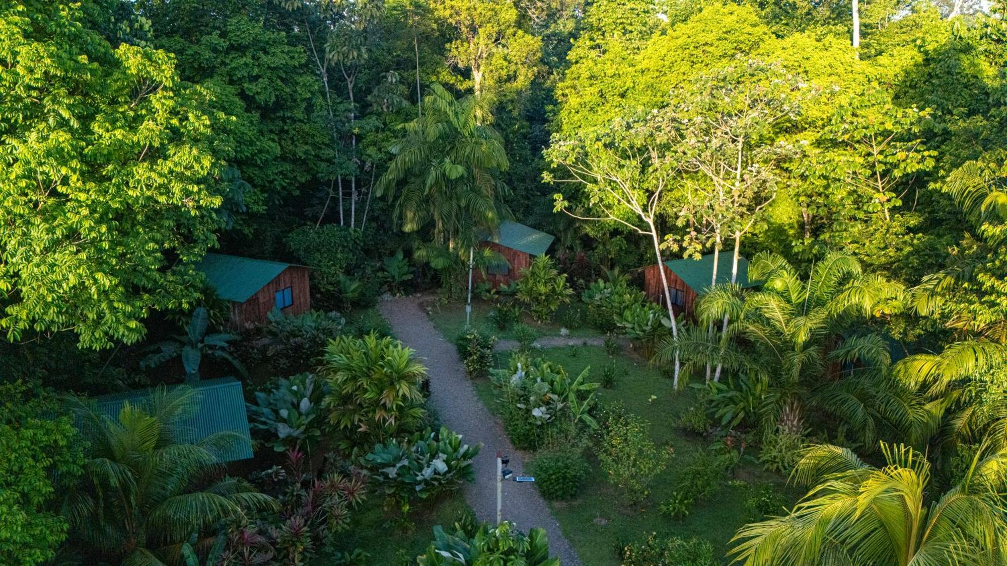Citronela Lodge Corcovado Drake Bay Exterior photo