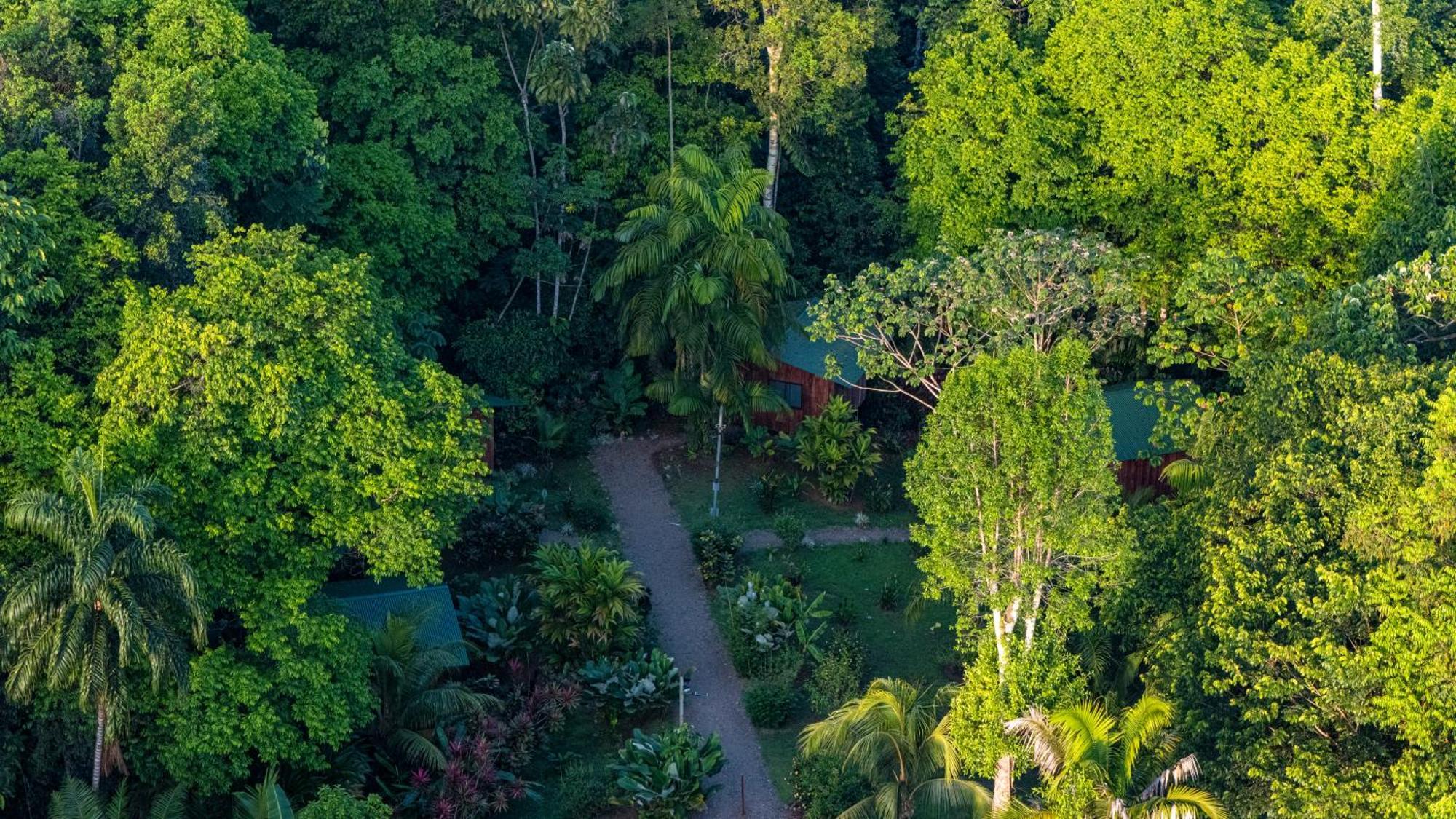 Citronela Lodge Corcovado Drake Bay Exterior photo