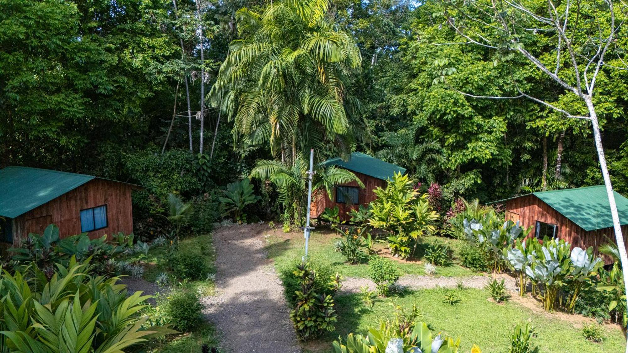 Citronela Lodge Corcovado Drake Bay Exterior photo