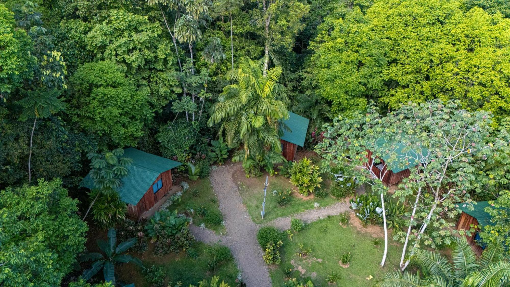Citronela Lodge Corcovado Drake Bay Exterior photo