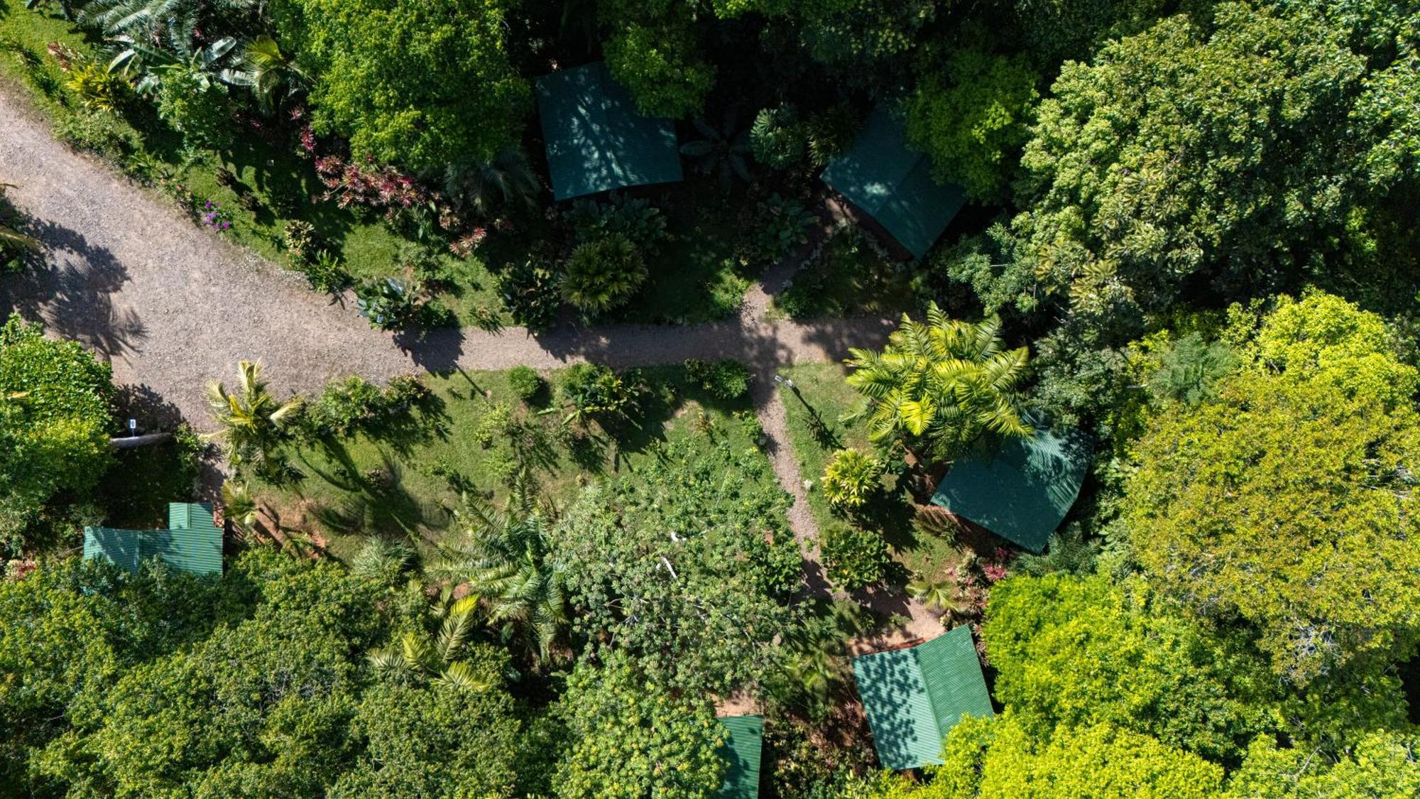 Citronela Lodge Corcovado Drake Bay Exterior photo