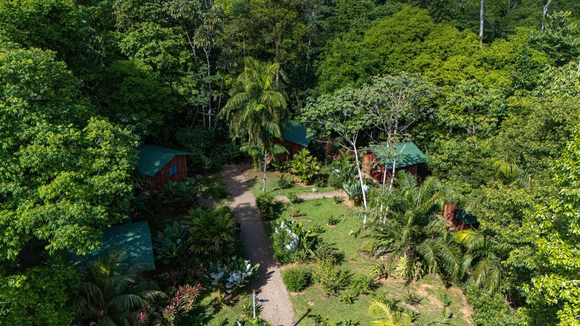 Citronela Lodge Corcovado Drake Bay Exterior photo