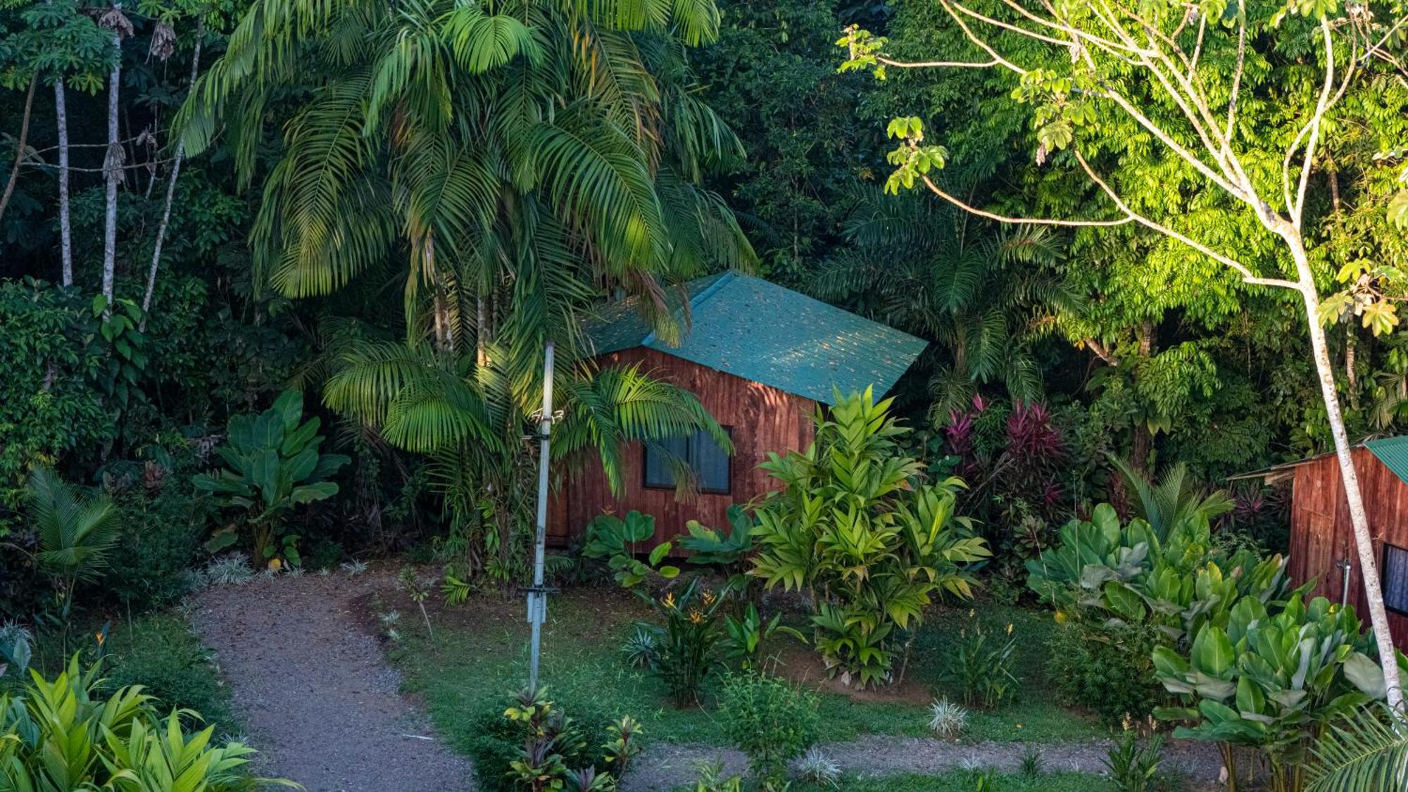 Citronela Lodge Corcovado Drake Bay Exterior photo