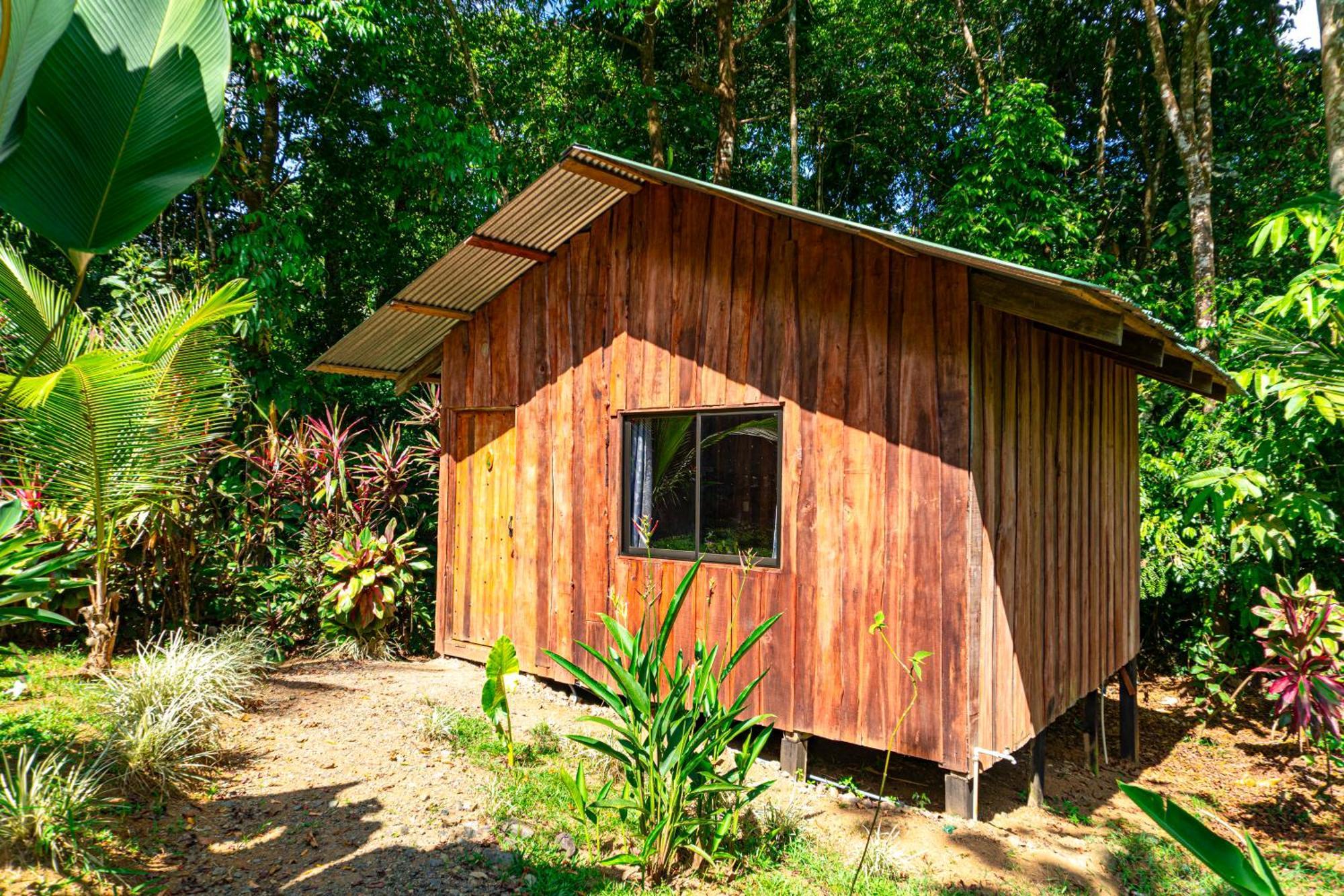 Citronela Lodge Corcovado Drake Bay Exterior photo