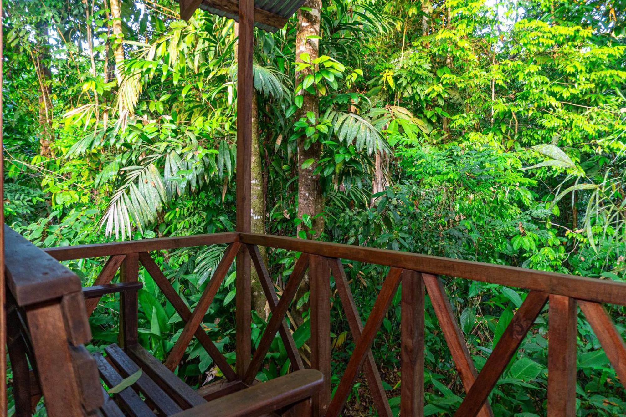 Citronela Lodge Corcovado Drake Bay Exterior photo