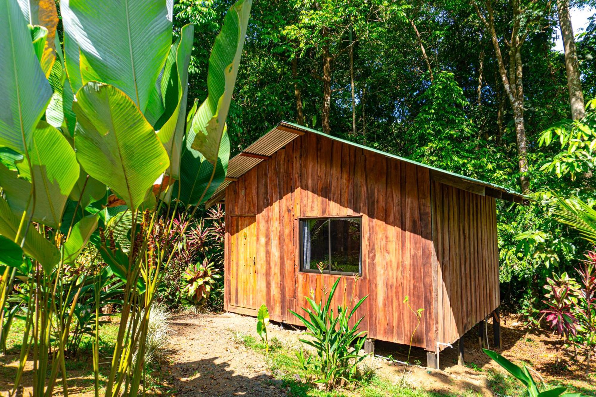 Citronela Lodge Corcovado Drake Bay Exterior photo