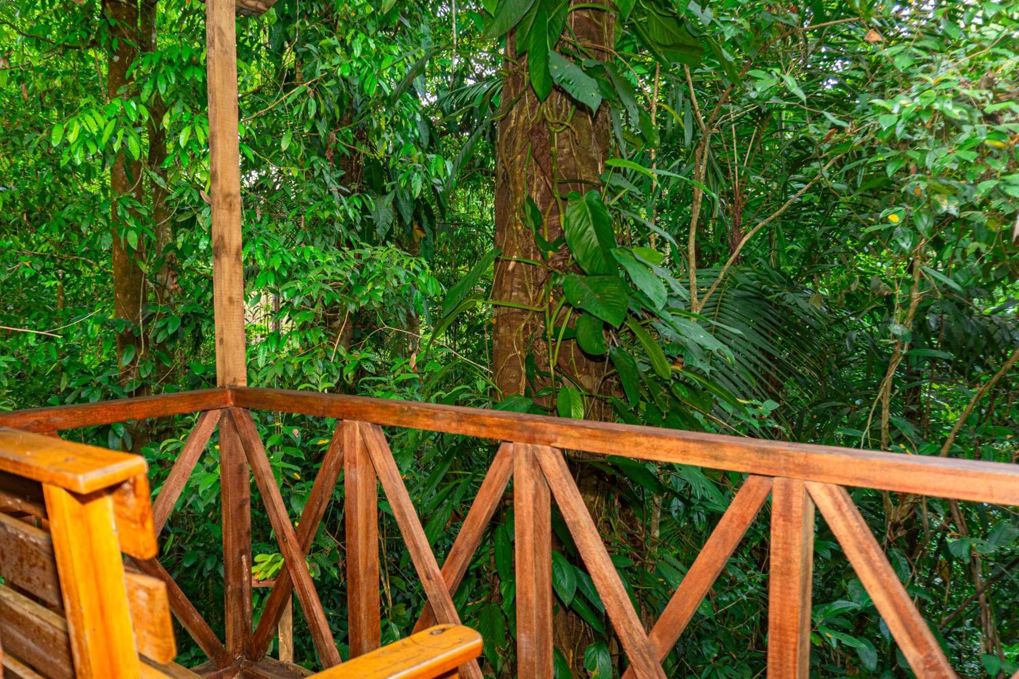 Citronela Lodge Corcovado Drake Bay Exterior photo