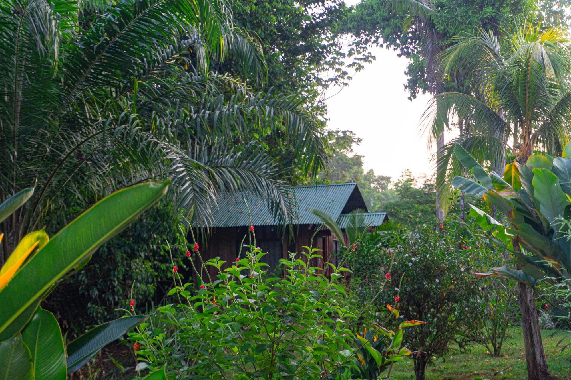 Citronela Lodge Corcovado Drake Bay Exterior photo