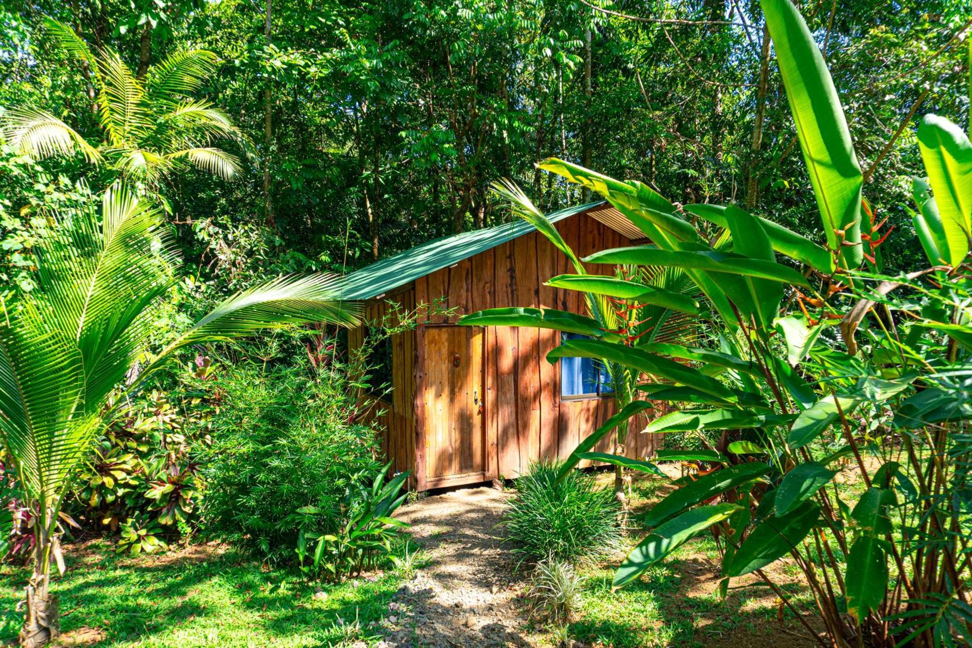Citronela Lodge Corcovado Drake Bay Exterior photo