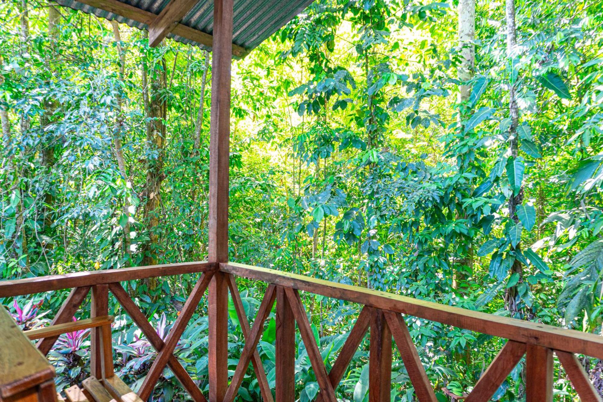 Citronela Lodge Corcovado Drake Bay Exterior photo