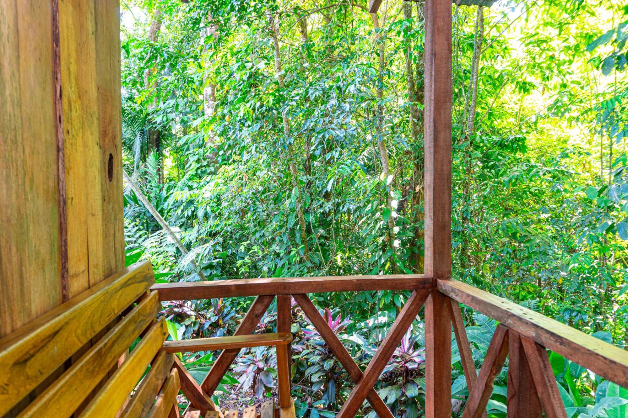 Citronela Lodge Corcovado Drake Bay Exterior photo