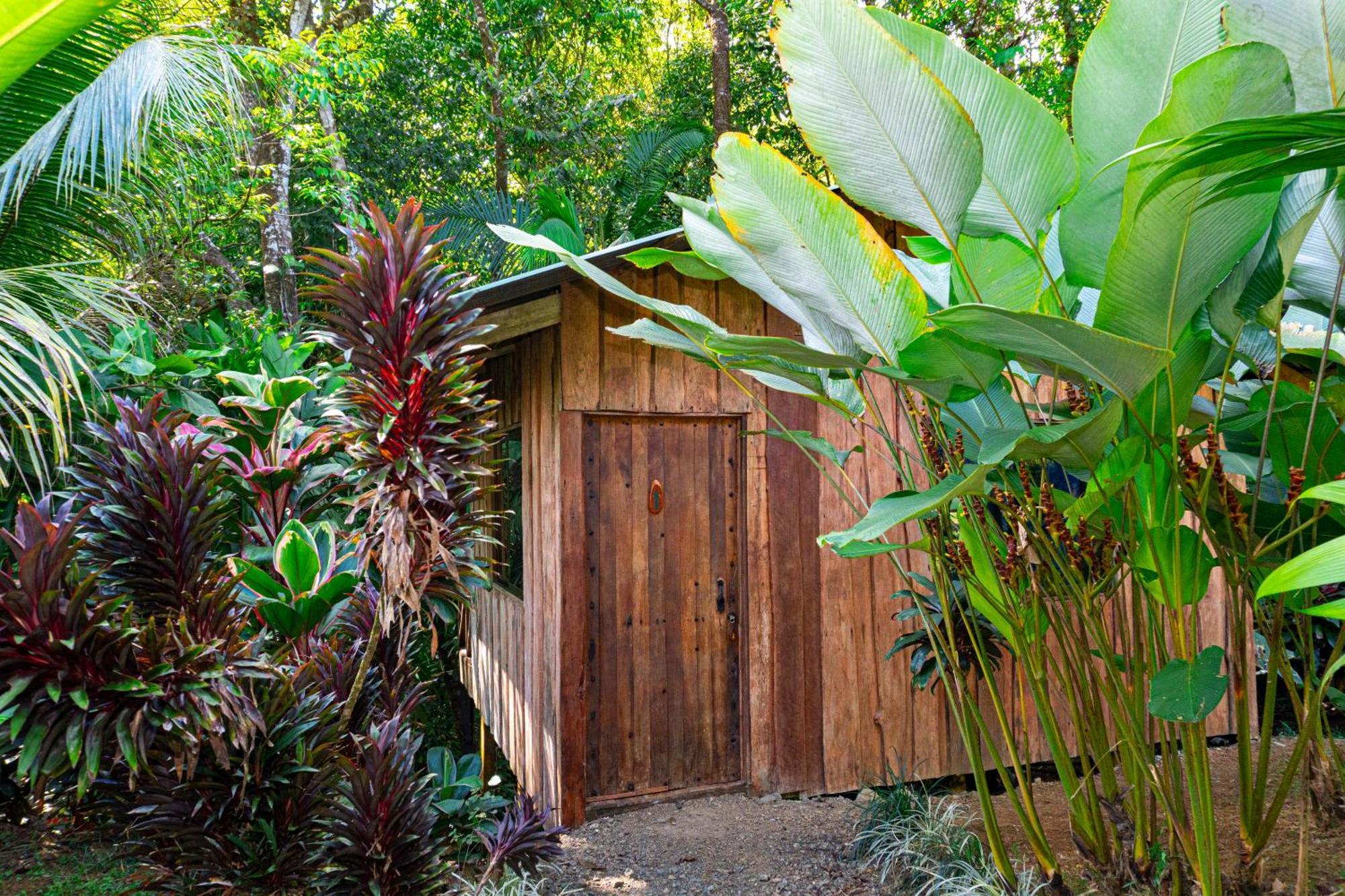Citronela Lodge Corcovado Drake Bay Exterior photo