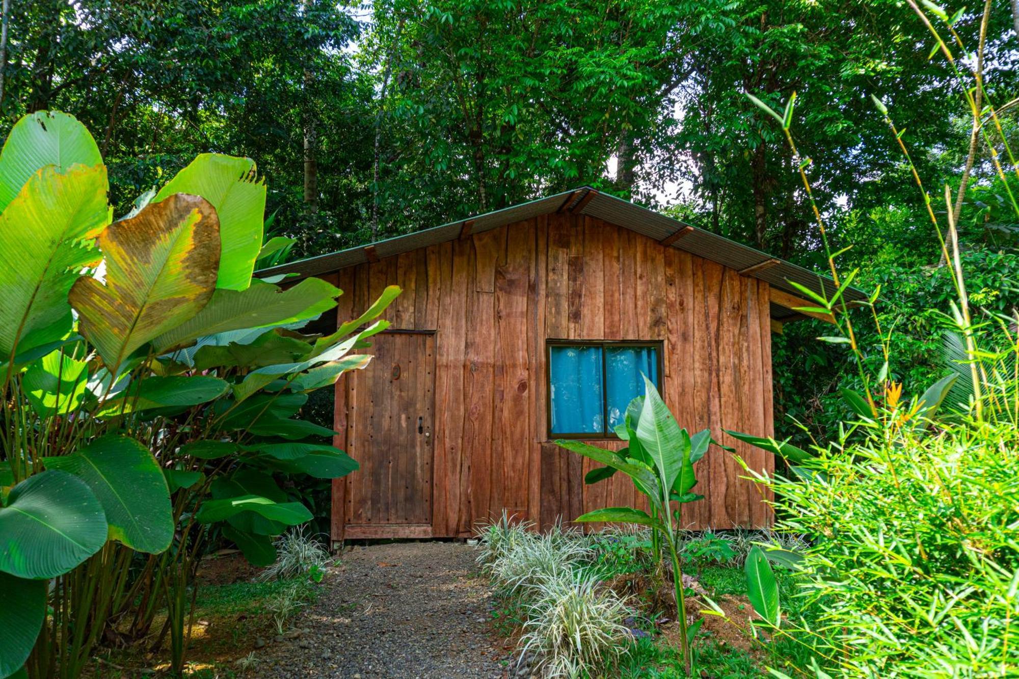 Citronela Lodge Corcovado Drake Bay Exterior photo