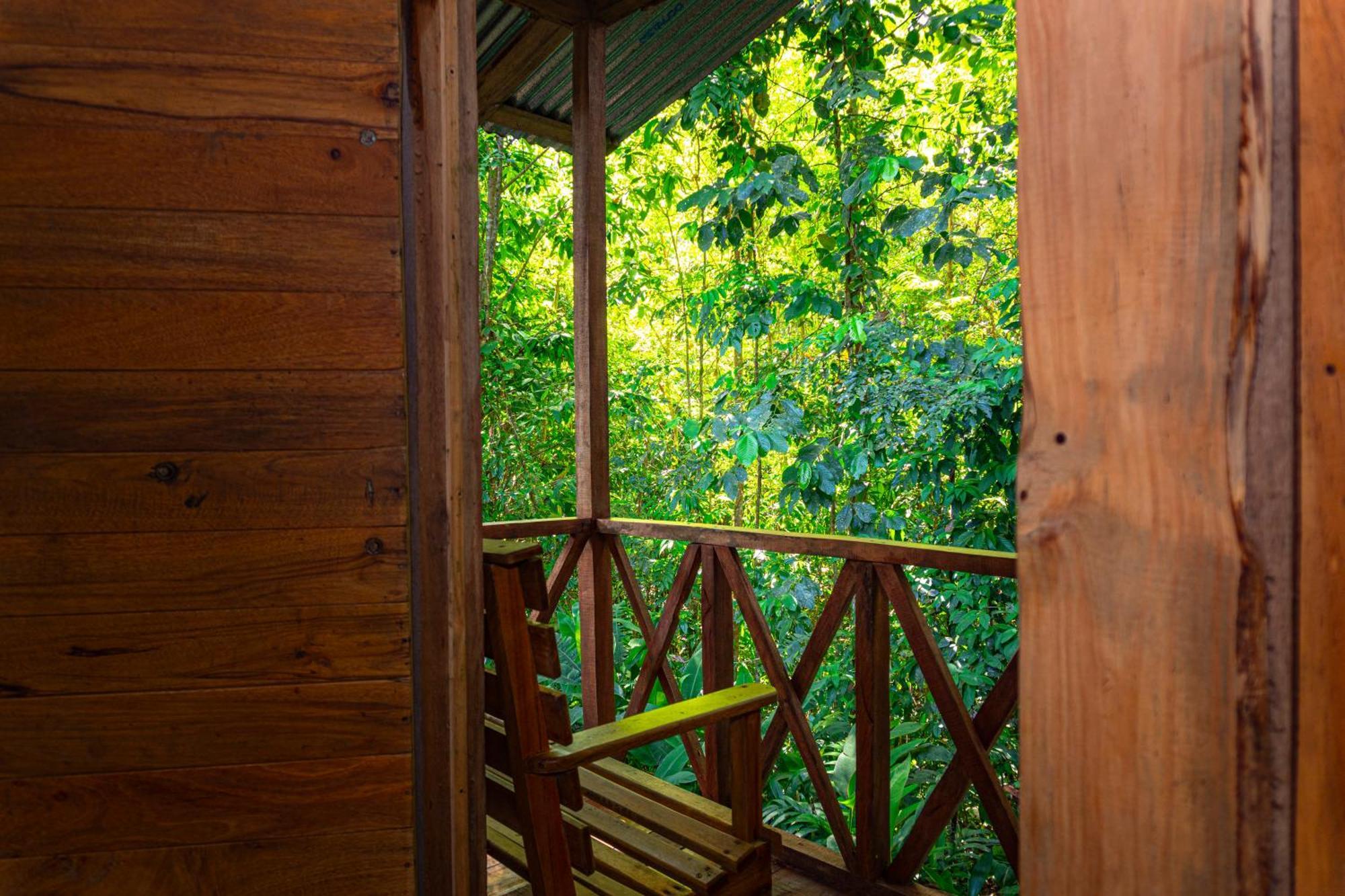 Citronela Lodge Corcovado Drake Bay Exterior photo